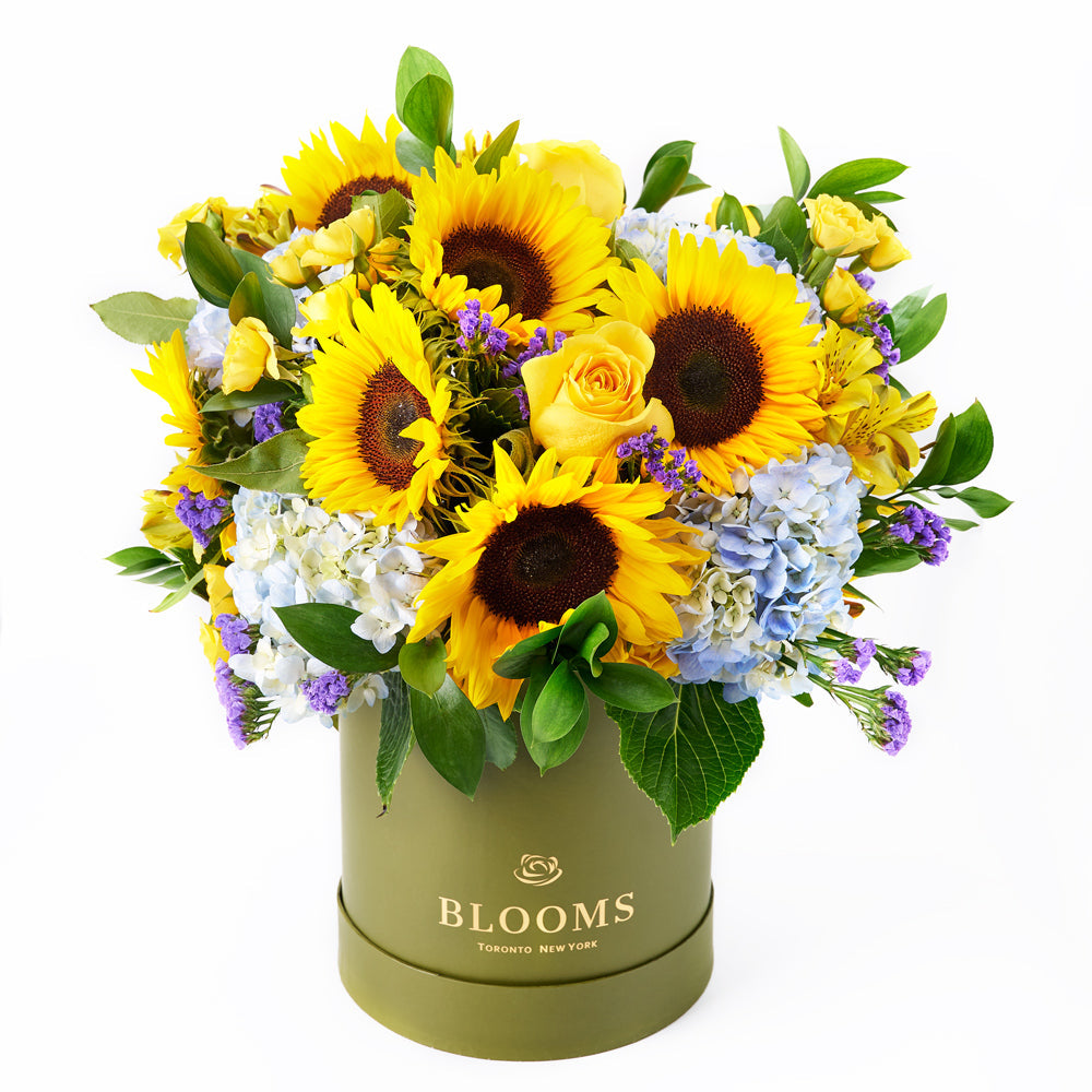 Charming Amber Sunflower Arrangement, sunflower, hydrangea, statice, roses, alstroemeria, spray roses, and greens in a tall green designer box, Flower Gifts from Canada Blooms - Same Day Canada Delivery.