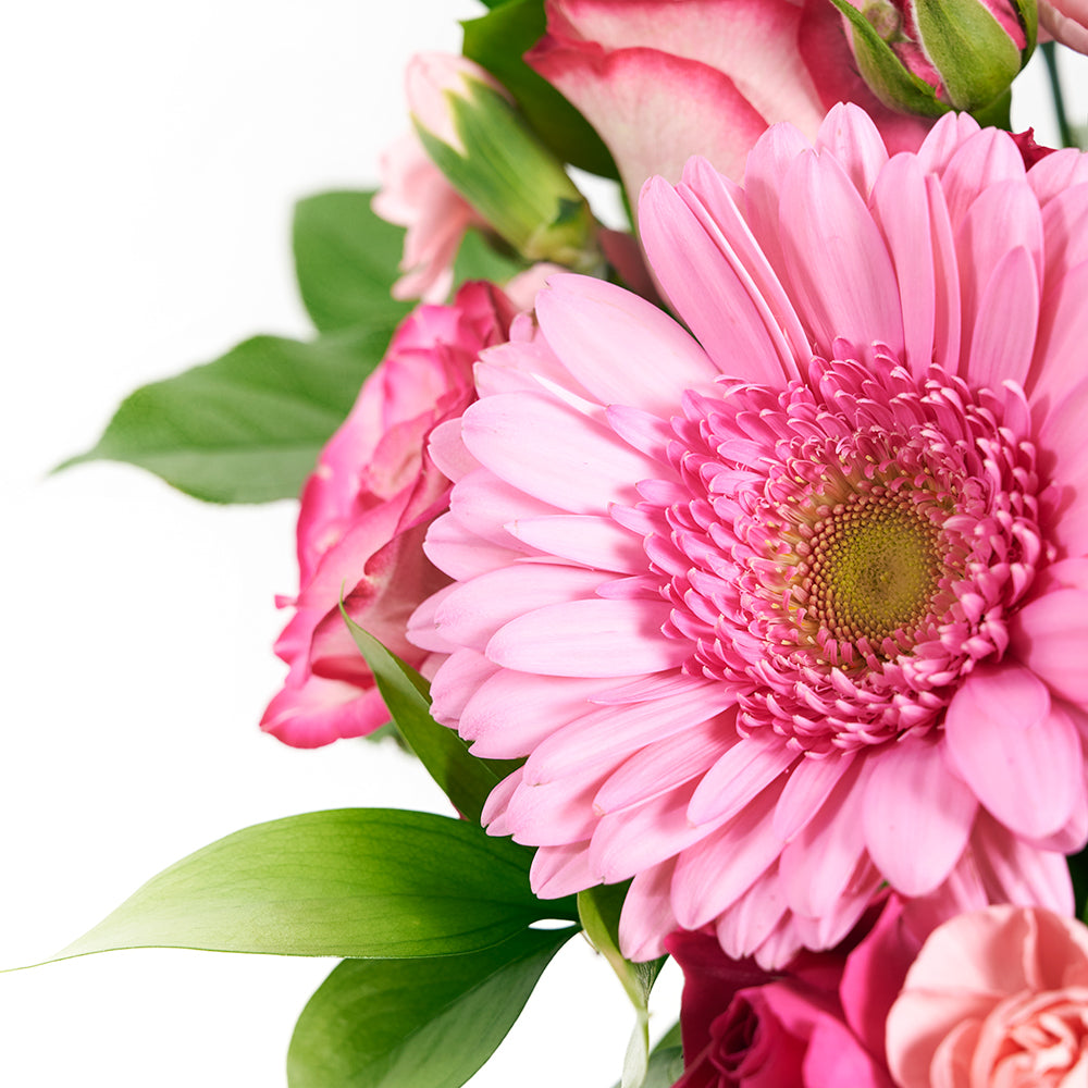 Color-Crazed Carnations Flower Gift, Canada Blooms - Canada Delivery