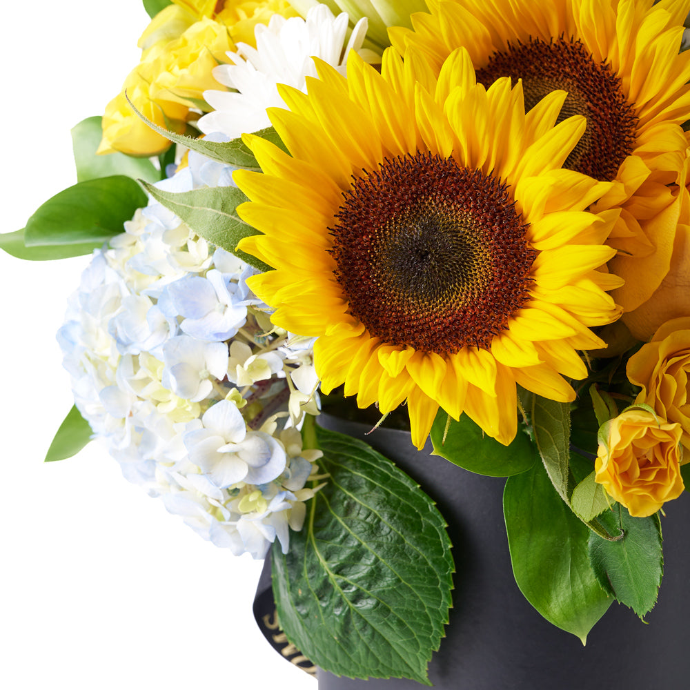 Crowning Glory Sunflower Arrangement, bunch of sunflowers gathered together with hydrangeas, roses, spray roses, lilies, alstroemeria, daisies, ruscus, and leather leaf in a tall black designer box, Flower Gifts from Canada Blooms - Canada Delivery