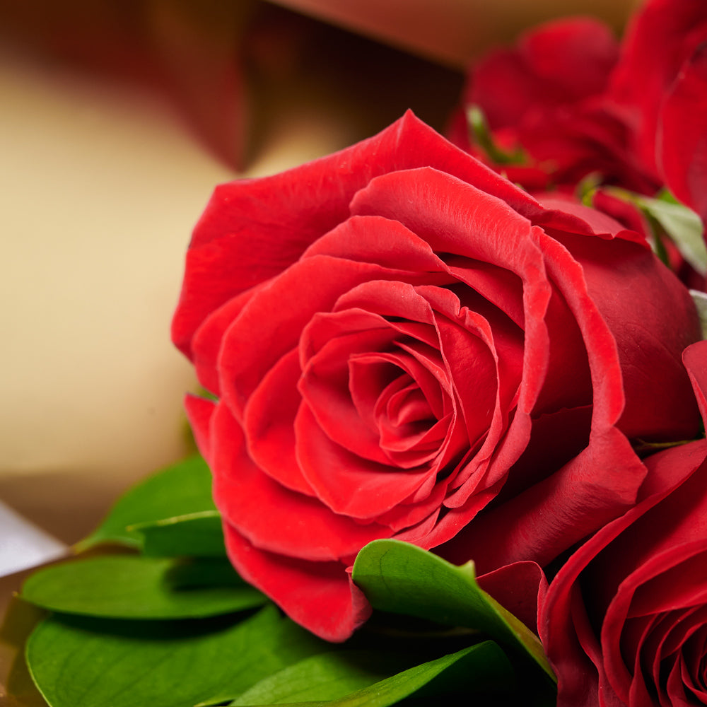 Grand Red Rose Gift With Chocolate & Wine, wine gift, wine, gourmet gift, gourmet, rose gift, rose, chocolate gift, chocolate. – Canada Blooms - Canada Delivery