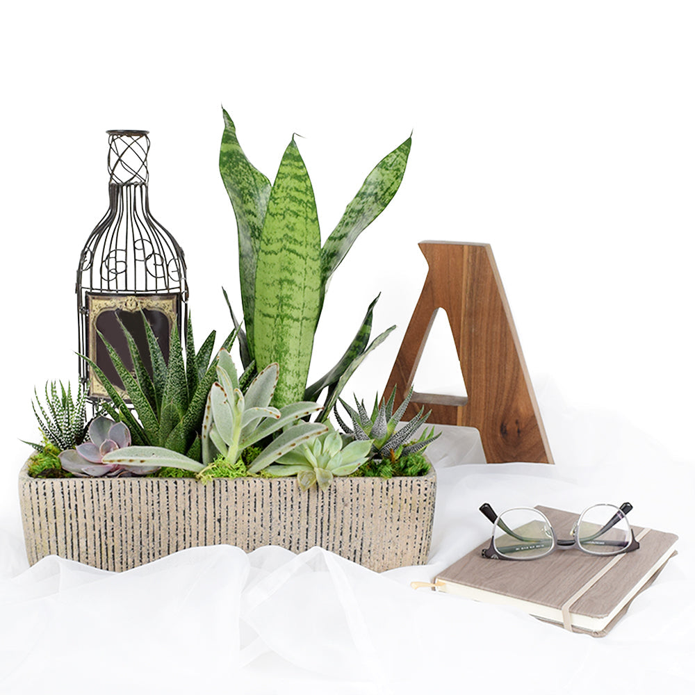 It's A Fun Surprise! Flowers & Beer Gift – Canada Blooms - Canada Delivery