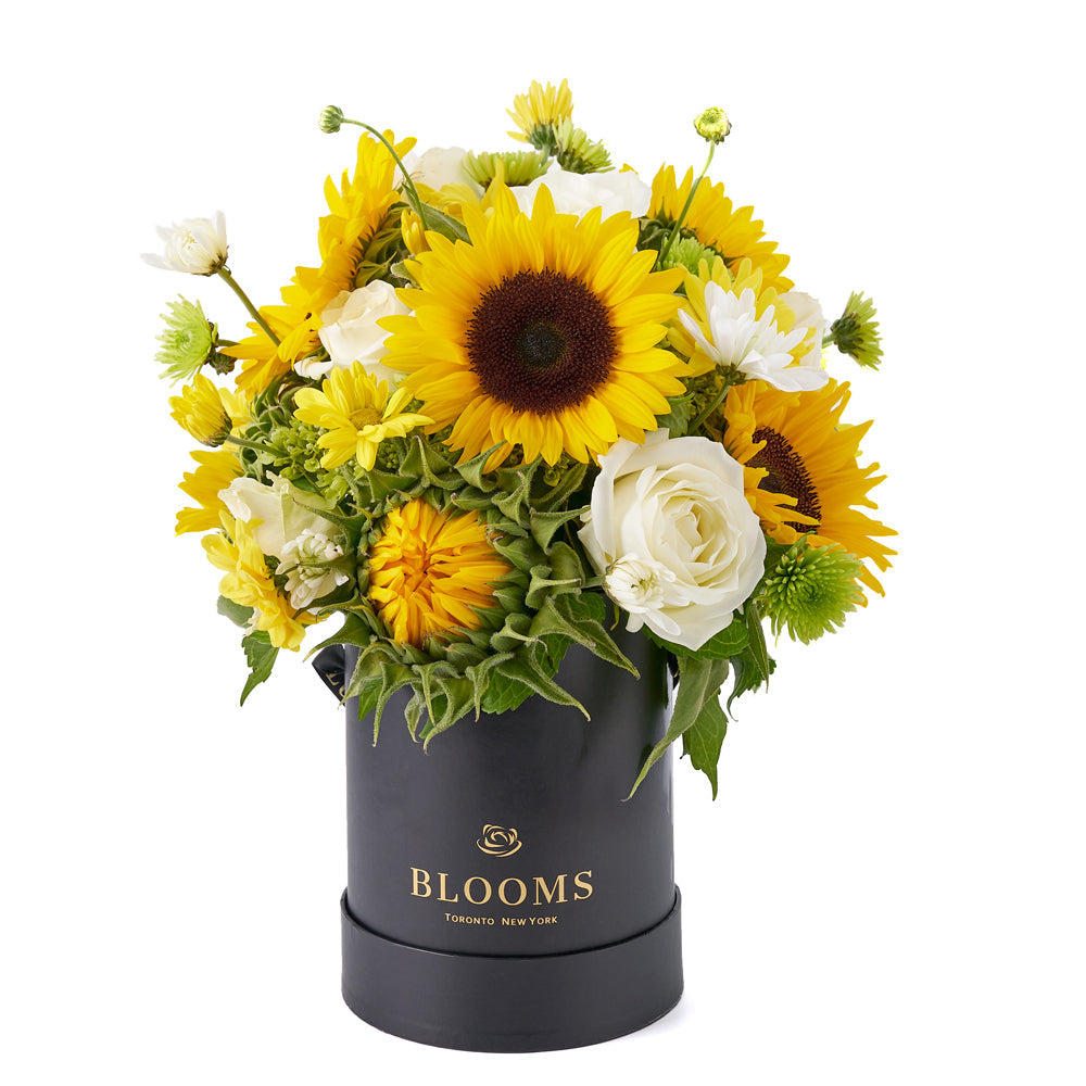 Make Life Sweeter Flower Gift – Canada Blooms - Canada Delivery