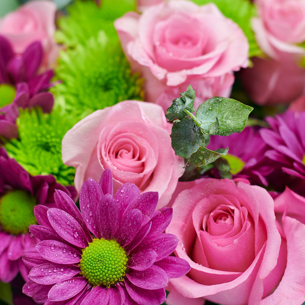 Canada Same Day Flower Delivery - Canada Flower Gifts – Canada Blooms - Canada Delivery