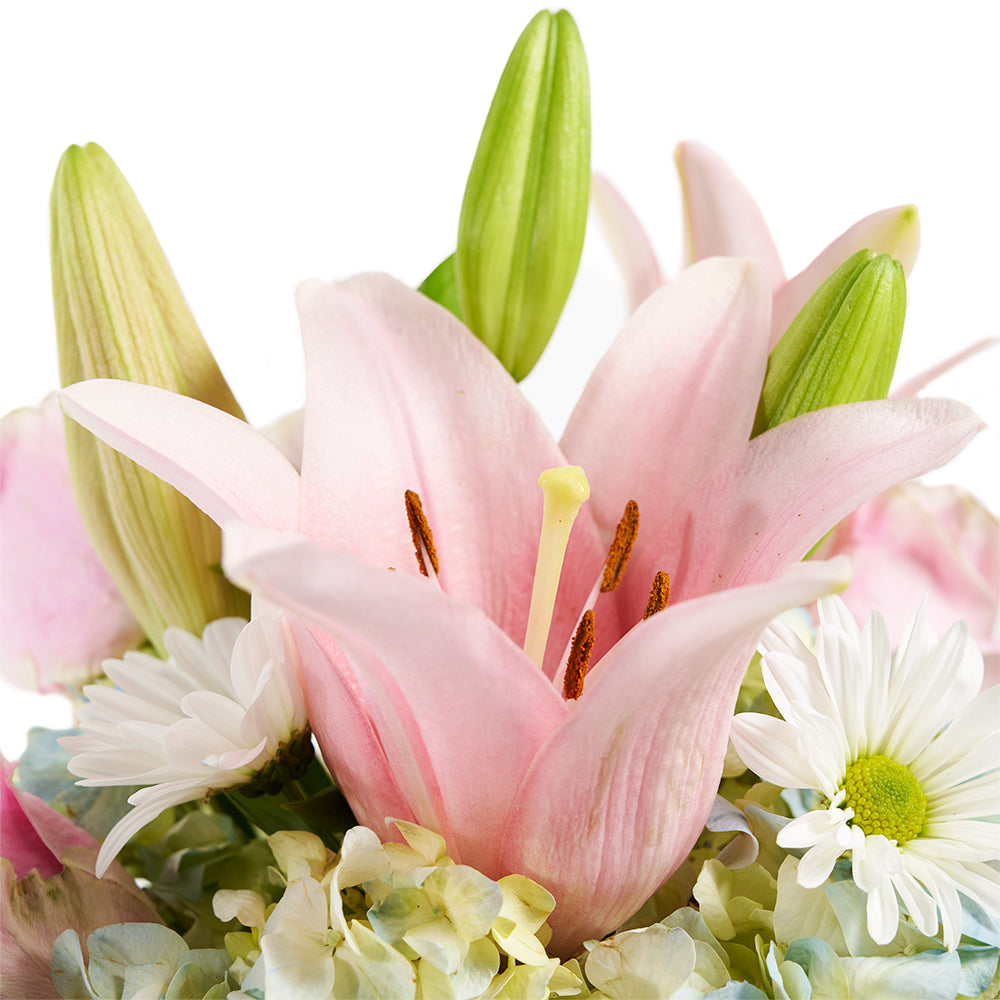 Spring Forth Mixed Floral Gift - Mixed Floral Arrangement Hat Box – Canada Blooms - Canada Delivery