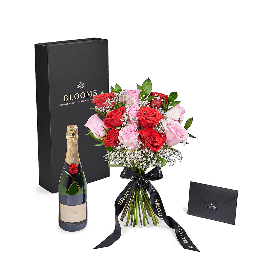 Valentine’s Day 12 Stem Red & Pink Rose Bouquet With Box & Champagne, Canada Same Day Flower Delivery, Valentine's Day gifts, roses.– Canada Blooms - Canada Delivery