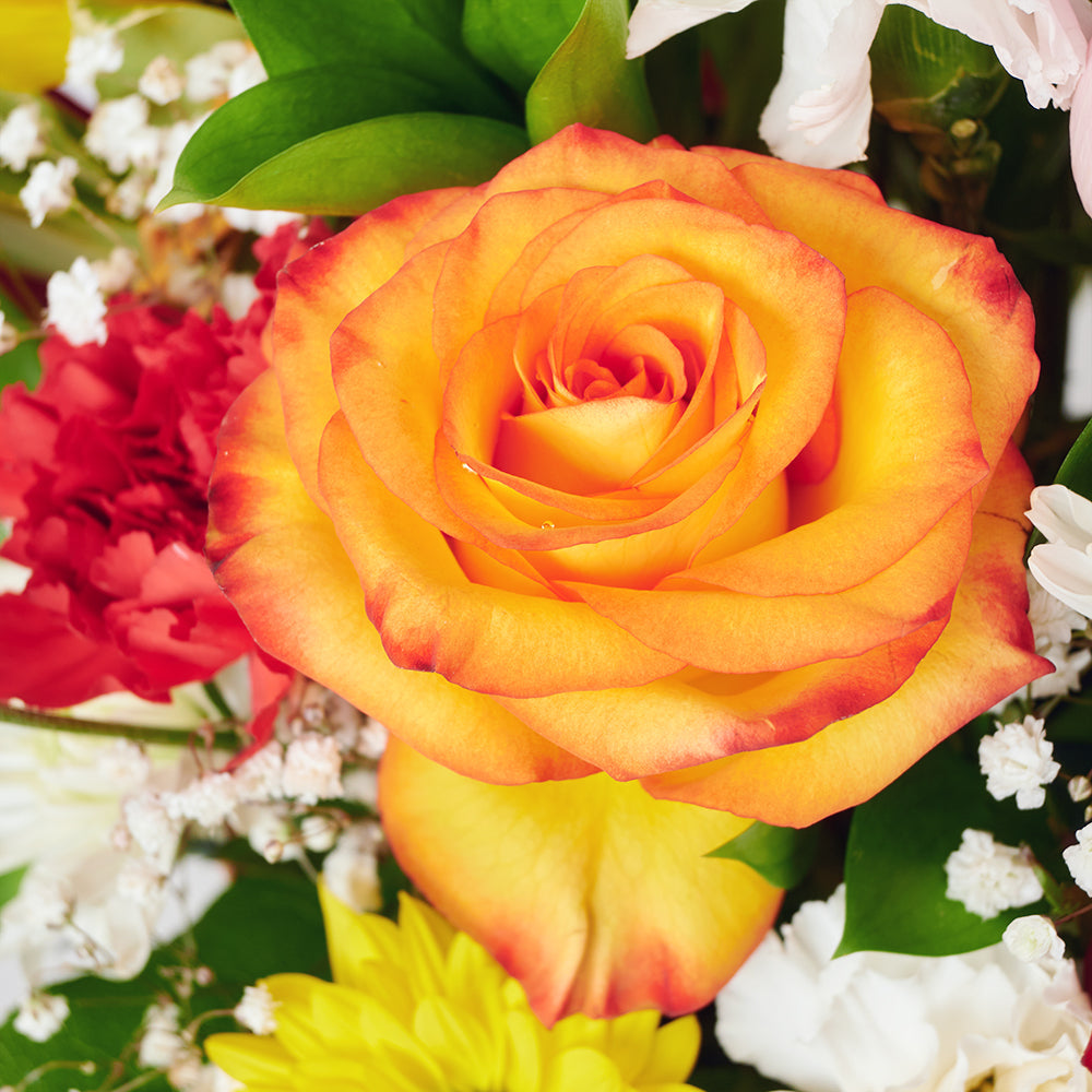 Bountiful Mixed Rose Arrangement, roses, carnations, daisies, baby’s breath, and greens in a classic wicker basket, Floral Gifts from Canada Blooms - Same Day Canada Delivery.
