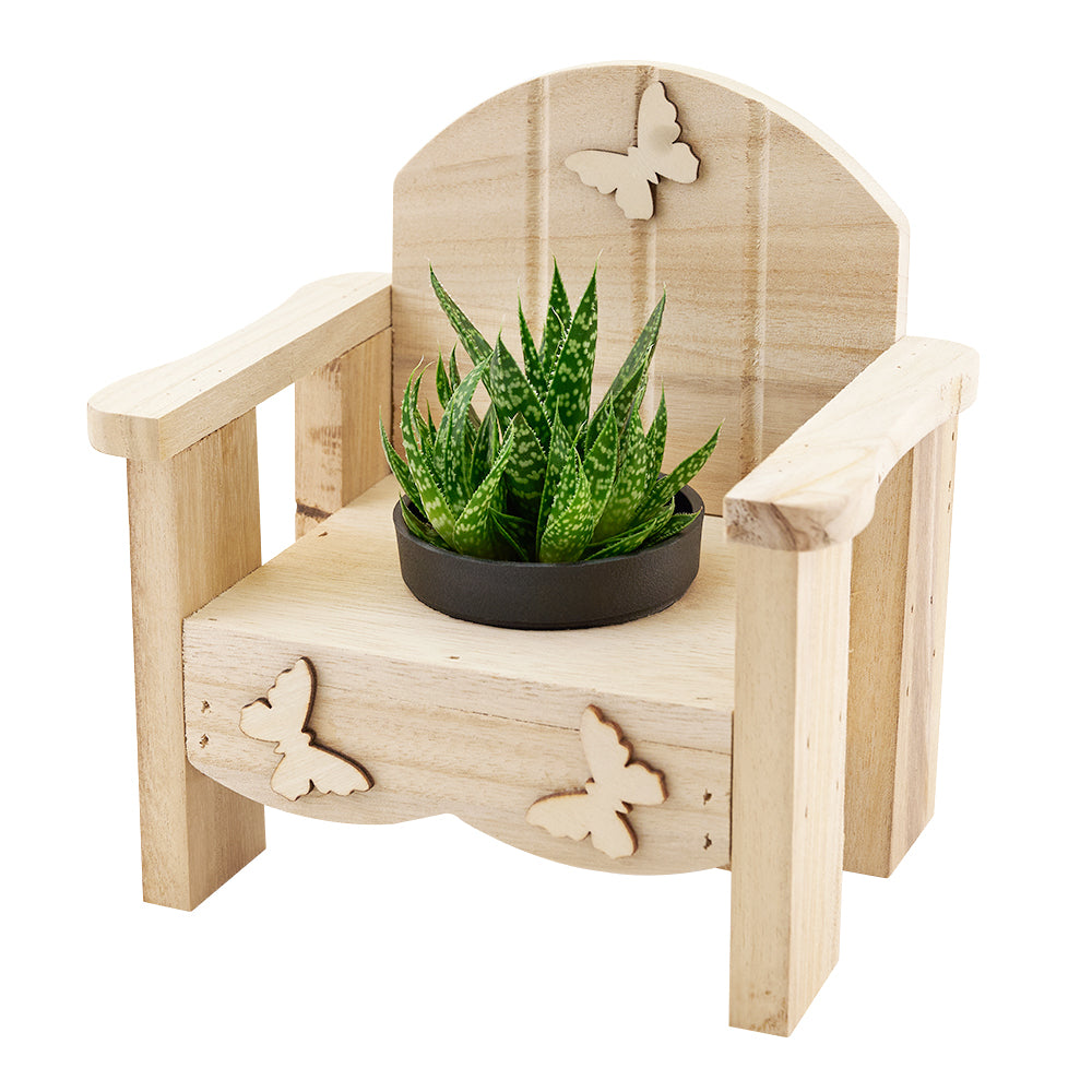 Butterfly planter chair arrangement with a potted succulent. Same Day Canada Blooms Delivery