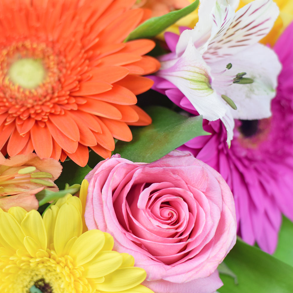 Celebrating Her Flowers & Wine Gift, roses, gerbera, alstroemeria and ruscus in a short pink designer hat box, bottle of red wine, Flower Gifts from Canada Blooms - Same Day Canada Delivery.