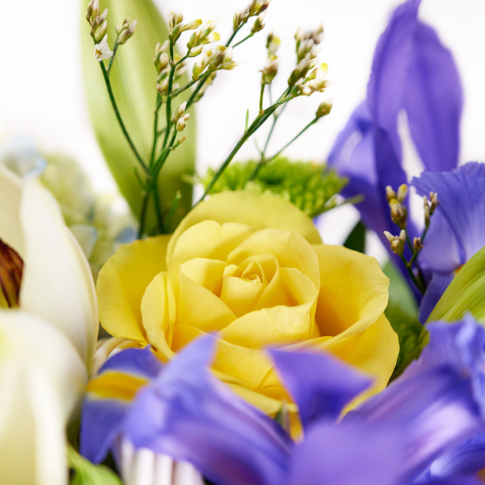 Irises In Paradise Mixed Arrangement, irises, roses, hydrangea, lilies, spray roses, daisies, and greens in a charming wicker basket, Flower Gifts from Canada Blooms - Canada Delivery
