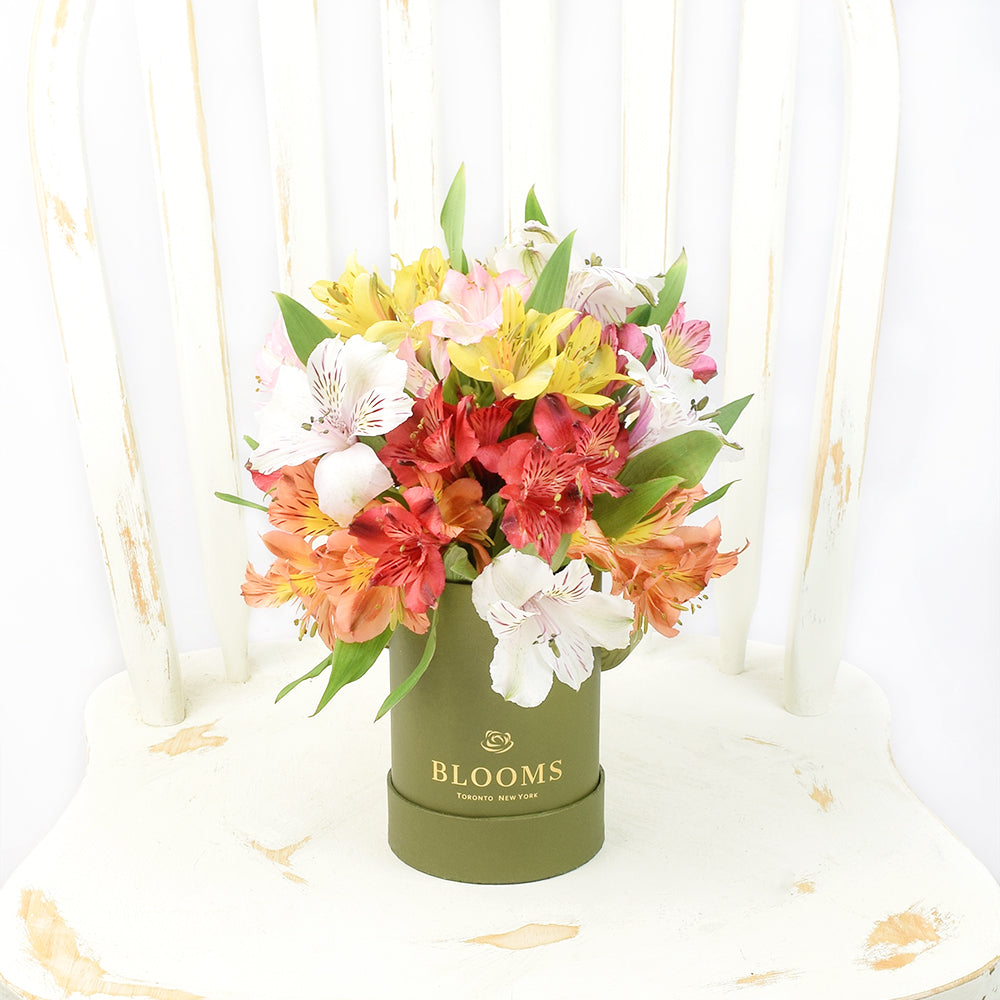 Fresh Lily Gifts | Livewire Lilies Flower Gift – Canada Blooms - Canada Delivery
