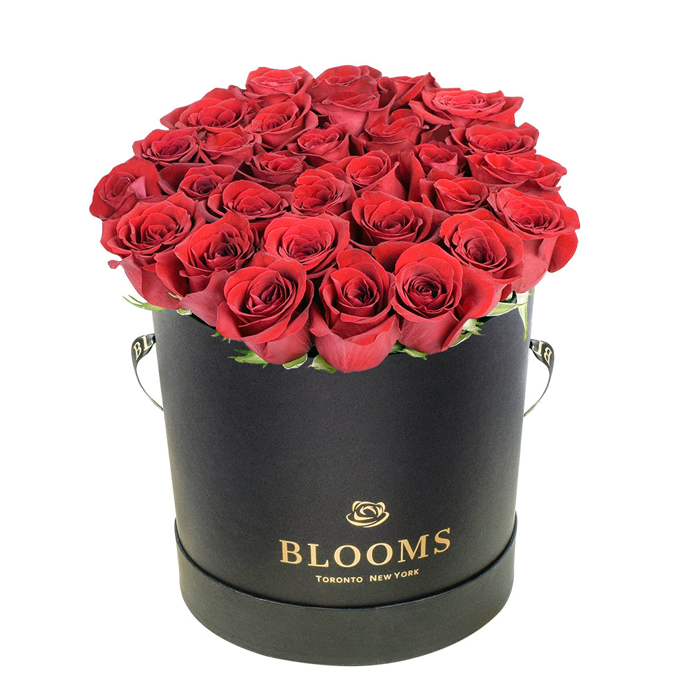 Canada Same Day Flower Delivery - Canada Flower Gifts – Canada Blooms - Canada Delivery