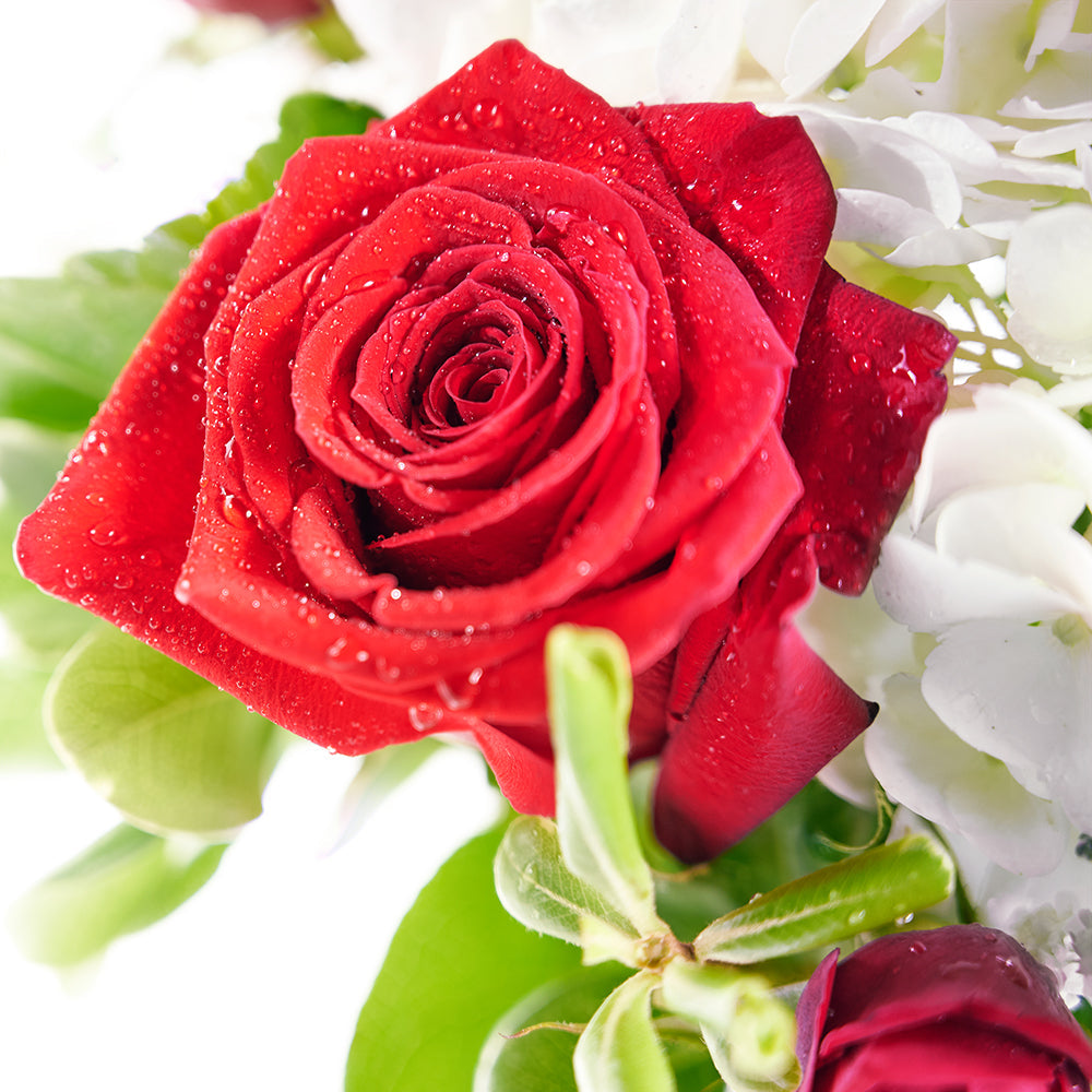 Rose and Hydrangea Vase with Wine - Wine Gift Set – Canada Blooms - Canada Delivery