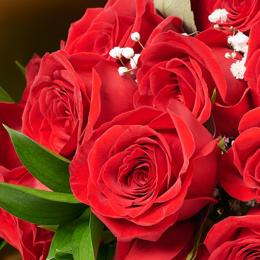 Valentine's Day Dozen Red Roses Bouquet, roses, bouquet, Canada Same Day Flowers Delivery, Valentine's Day gifts.– Canada Blooms - Canada Delivery