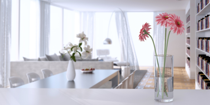 The Best Indoor Flowers for a Summer Refresh