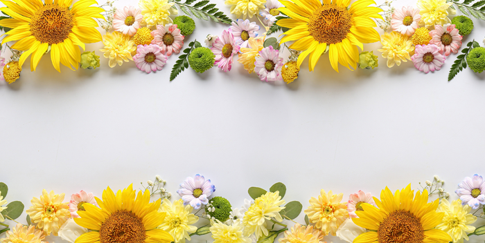 Experience the Beauty of Summer with Canada Blooms' Flower Box Sets hero banner