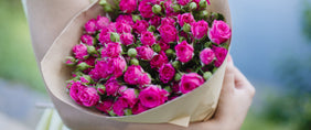 Same day flower delivery Blooms Canada flowers gifts - Rose Gifts