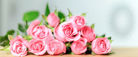 Same day flower delivery Canada – Canada flowers gifts -Flower Gifts 
