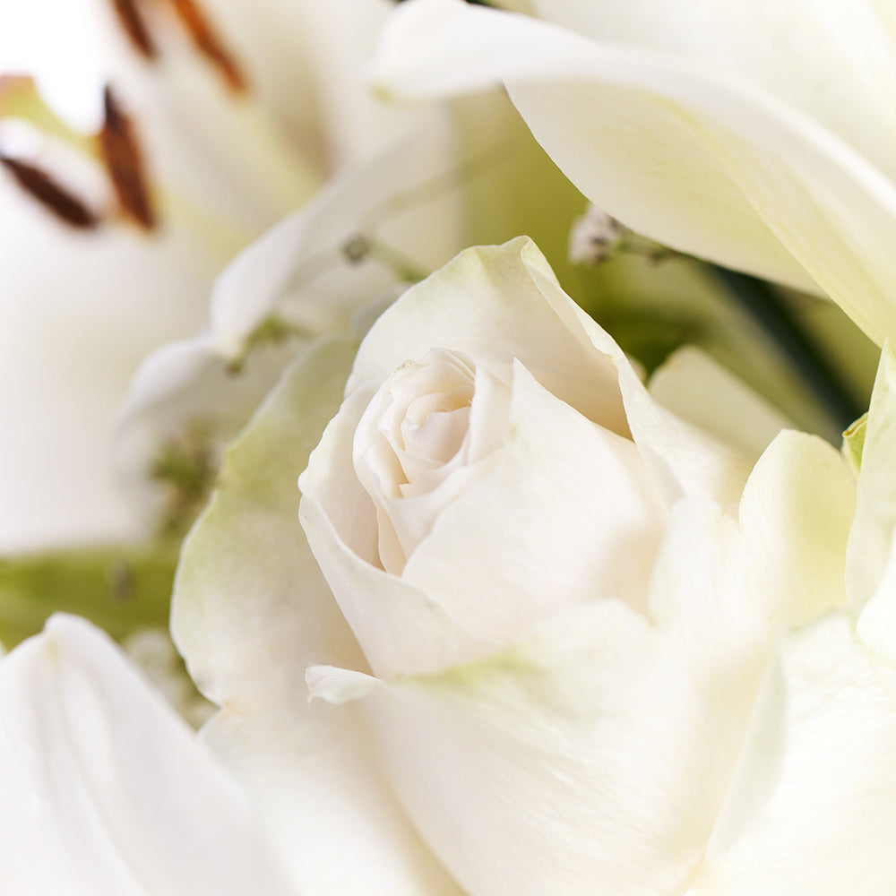 Alabaster Mixed Lily Arrangement, lilies, alstroemeria, roses, daisies, baby’s breath, and greens in a ceramic vessel, Lily Gifts from Blooms Canada - Same Day Canada Delivery.