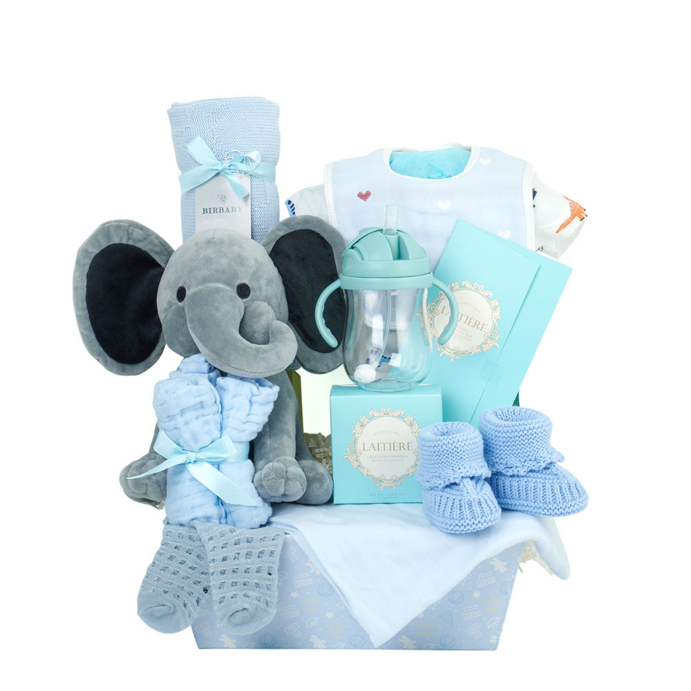 Baby Boy Bassinet, cuddly blanket, soft socks, a bodysuit, bib, an adorable elephant plush toy, and more! Baby Shower Gifts from Canada Blooms - Same Day Canada Delivery.