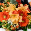 Mixed rose bouquet in red, yellow, and orange. Same Day.Blooms Canada- Blooms Canada Delivery