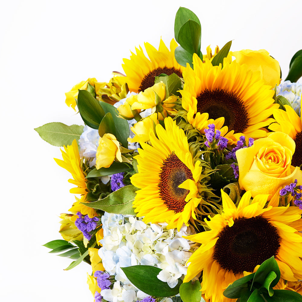 Charming Amber Sunflower Arrangement, sunflower, hydrangea, statice, roses, alstroemeria, spray roses, and greens in a tall green designer box, Flower Gifts from Canada Blooms - Same Day Canada Delivery.