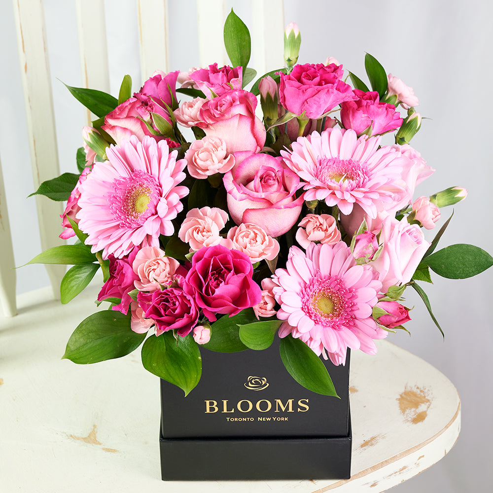 Color-Crazed Carnations Flower Gift, Blooms Canada- Blooms Canada Delivery
