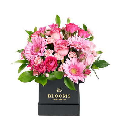 Color-Crazed Carnations Flower Gift, Blooms Canada- Blooms Canada Delivery