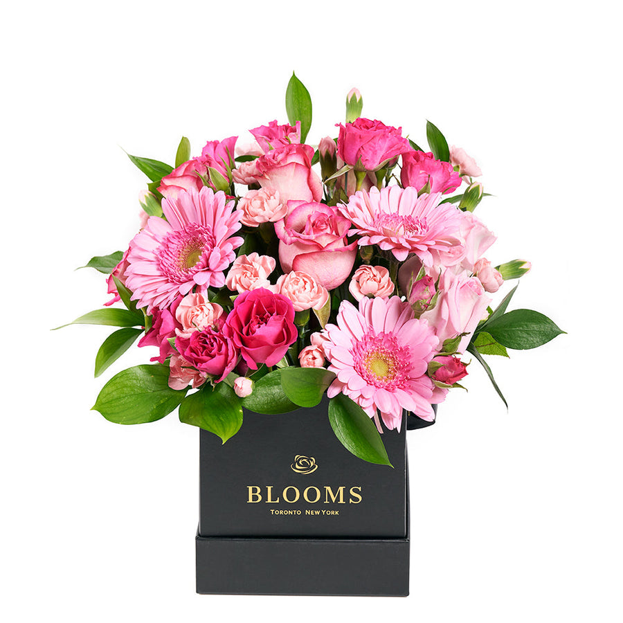 Color-Crazed Carnations Flower Gift, Canada Blooms - Canada Delivery