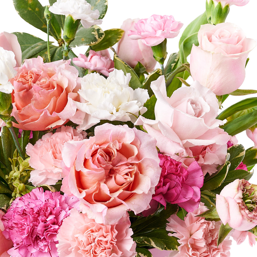 Dazzling Rose & Carnation Gift Box, mother’s day gift baskets, floral gifts, gifts – Canada Blooms - Canada Delivery