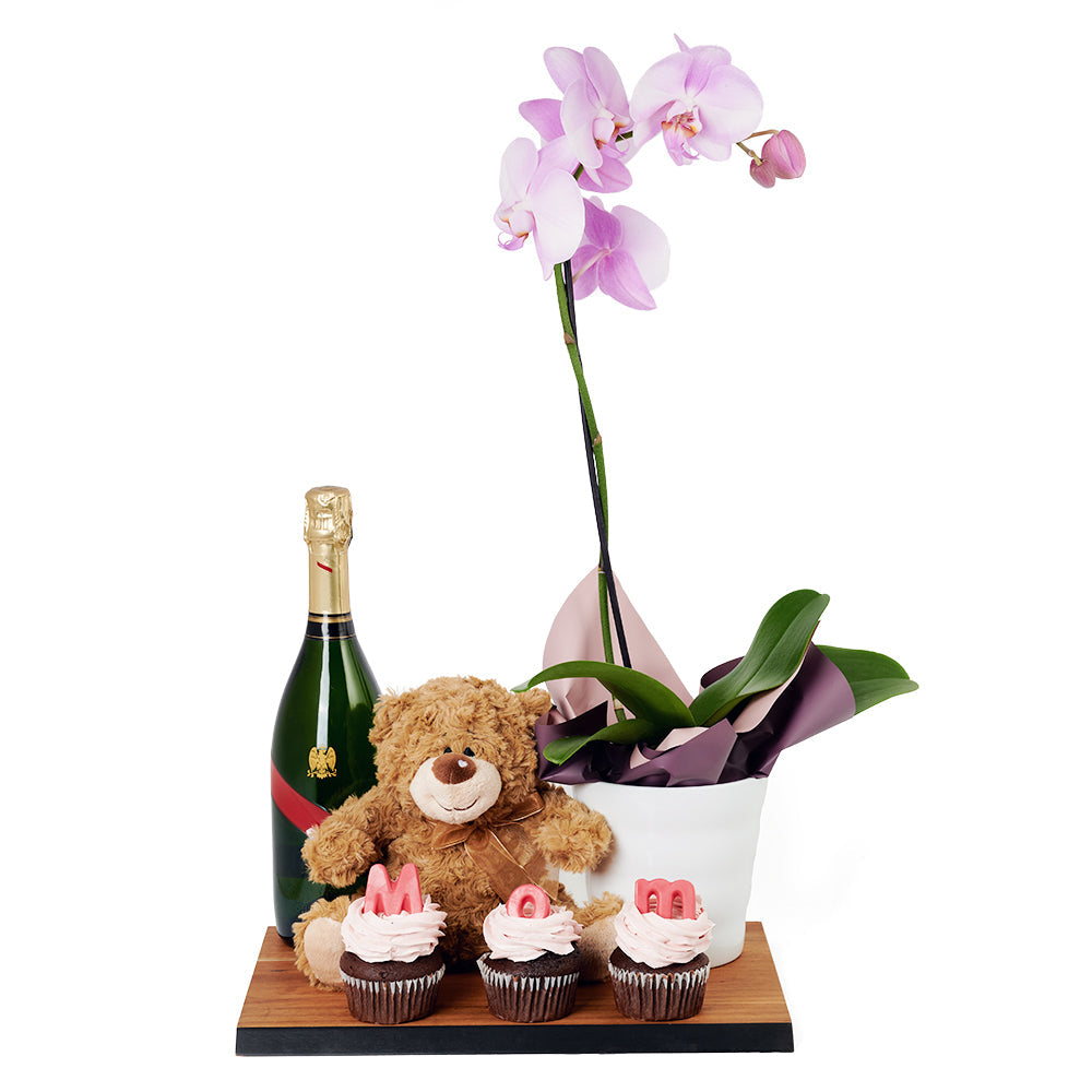 Teddy bear, Orchid, Cupcake and Champagne Set - Same Day Canada Gift Delivery – Canada Blooms - Canada Delivery