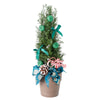 Decorated Green Mini Christmas Tree,Blooms Canada Delivery