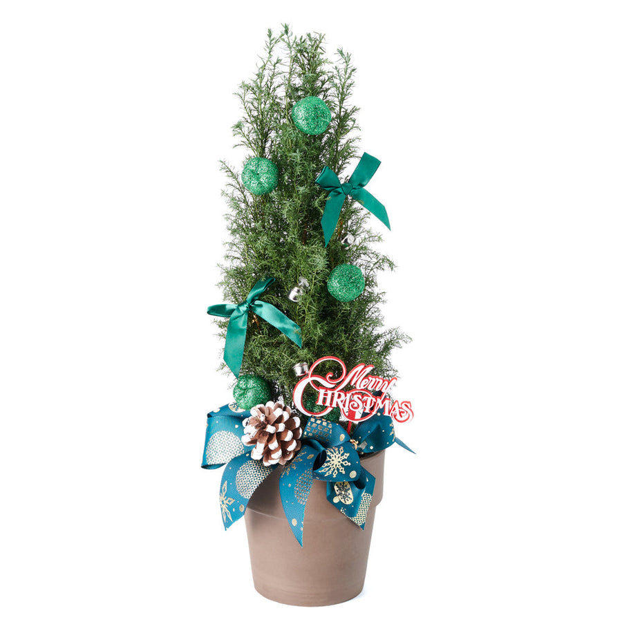 Decorated Green Mini Christmas Tree, baby Cupressus is a perfect living Christmas tree and comes in a classic planter pot, Holiday gifts from Blooms Canada - Same Day Canada Delivery.