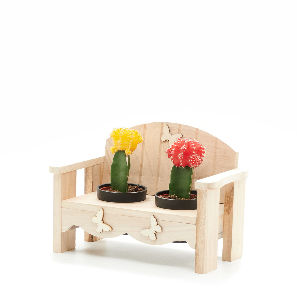 Desert Bench Cactus Arrangement, gift baskets, plant gifts, gifts, cactus, potted plant, succulent,– Canada Blooms - Canada Delivery