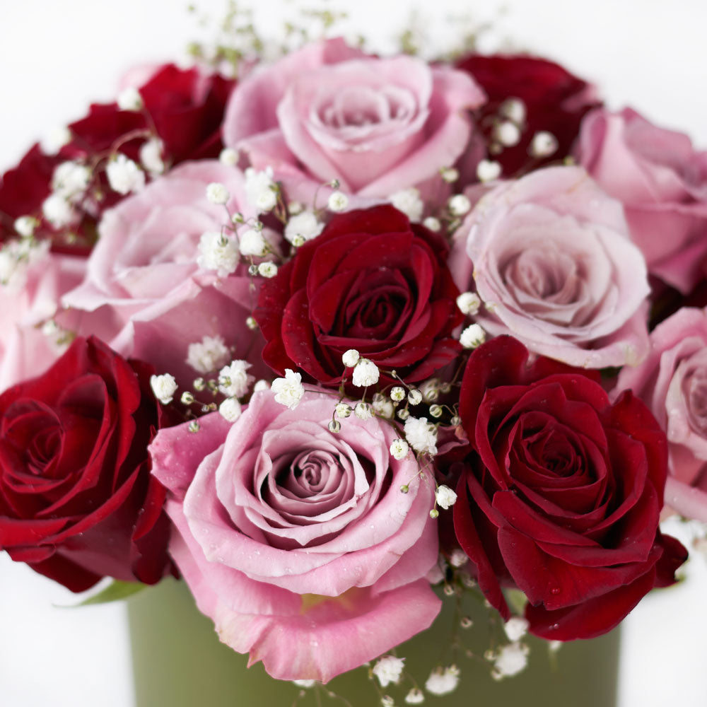 Elegant Rose Duo Arrangment - Mixed Roses - Mother's Day Gift – Canada Blooms - Canada Delivery