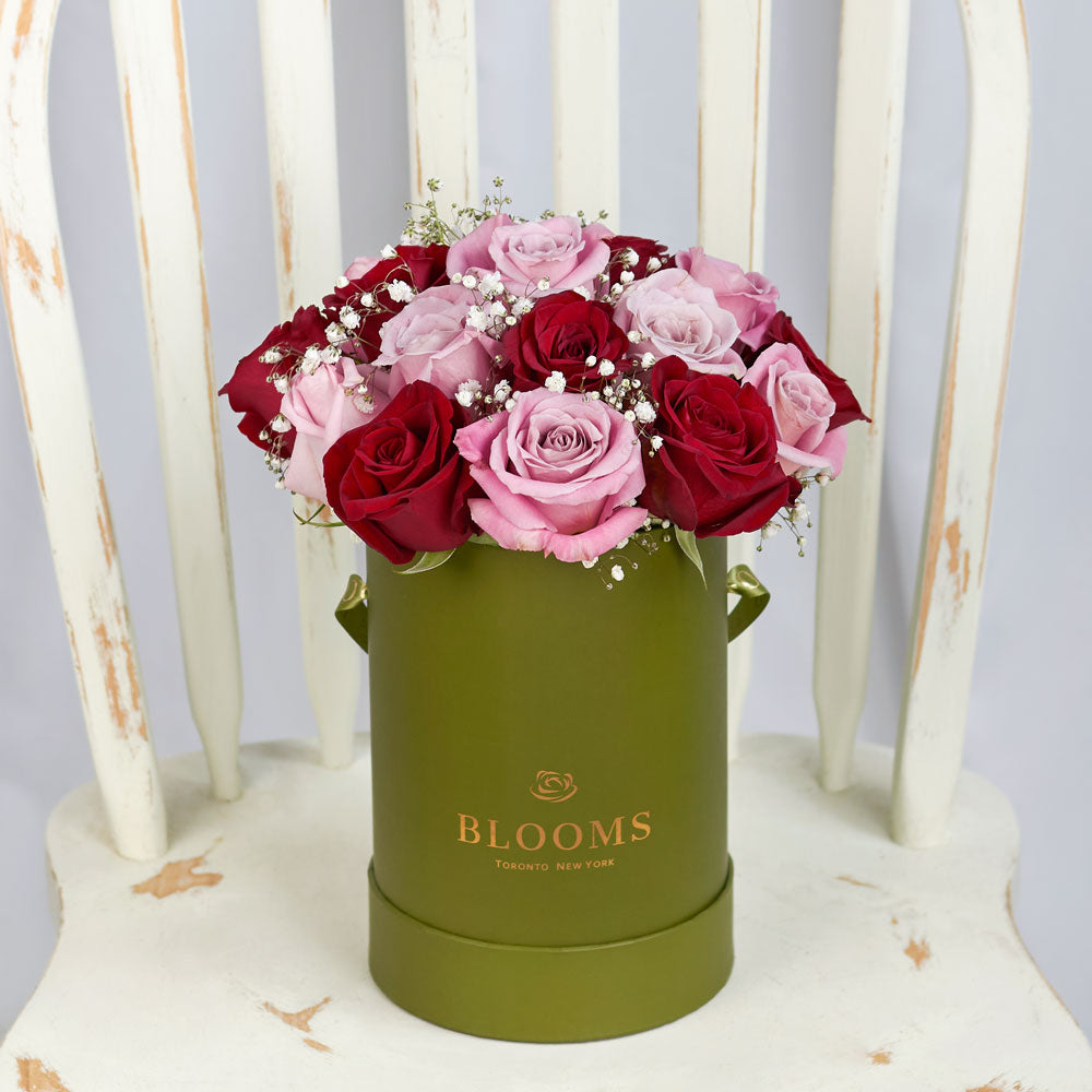 Elegant Rose Duo Arrangment - Mixed Roses - Mother's Day Gift – Canada Blooms - Canada Delivery