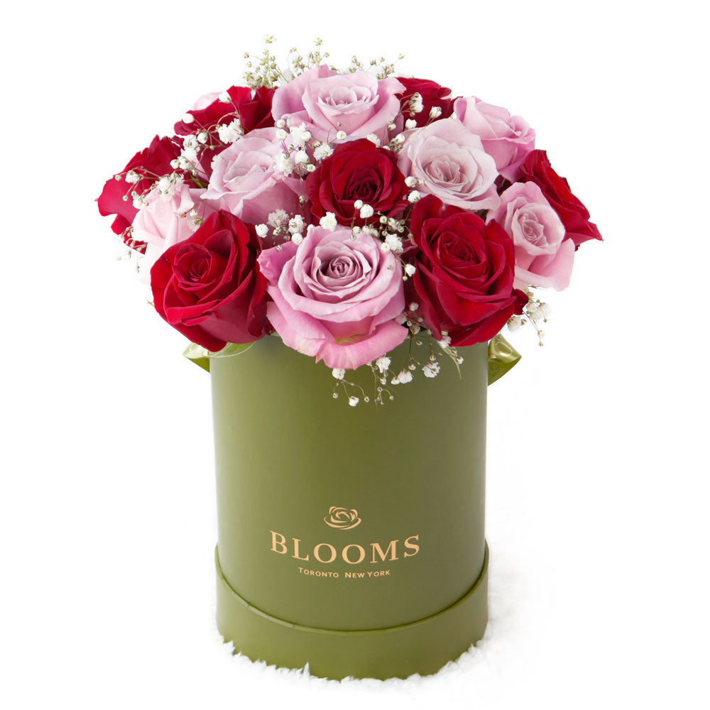 Elegant Rose Duo Arrangment - Mixed Roses - Mother's Day Gift – Canada Blooms - Canada Delivery