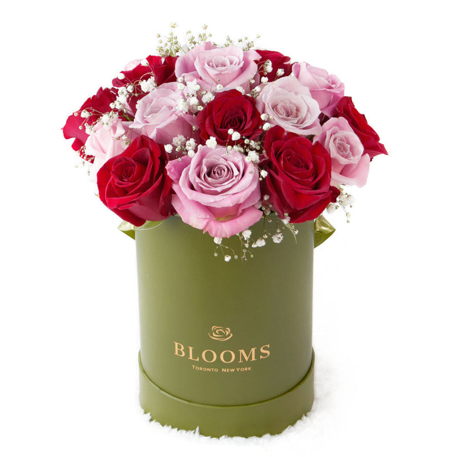 Elegant Rose Duo Arrangment - Mixed Roses - Mother's Day Gift – Canada Blooms - Canada Delivery