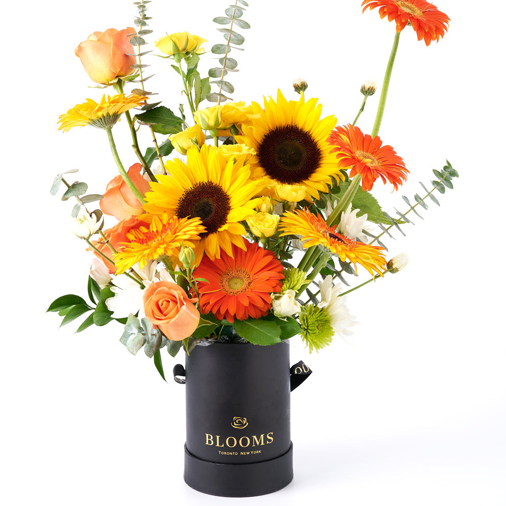 Exalted Amber Sunflower Arrangement, selection of sunflowers, gerbera, roses, spray roses, daisies, and greenery gathered together in a round black designer box, Flower Gifts from Canada Blooms - Same Day Canada Delivery.