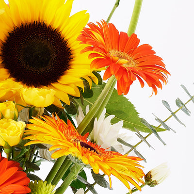 Exalted Amber Sunflower Arrangement, selection of sunflowers, gerbera, roses, spray roses, daisies, and greenery gathered together in a round black designer box, Flower Gifts from Blooms Canada - Same Day Canada Delivery.