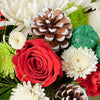 Holiday Flower Box, Blooms Canada Delivery