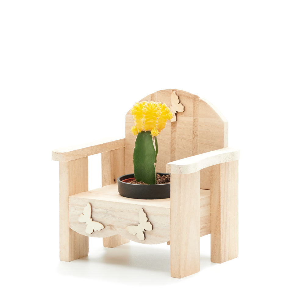 Laid-Back Cactus Gift – Canada Blooms - Canada Delivery
