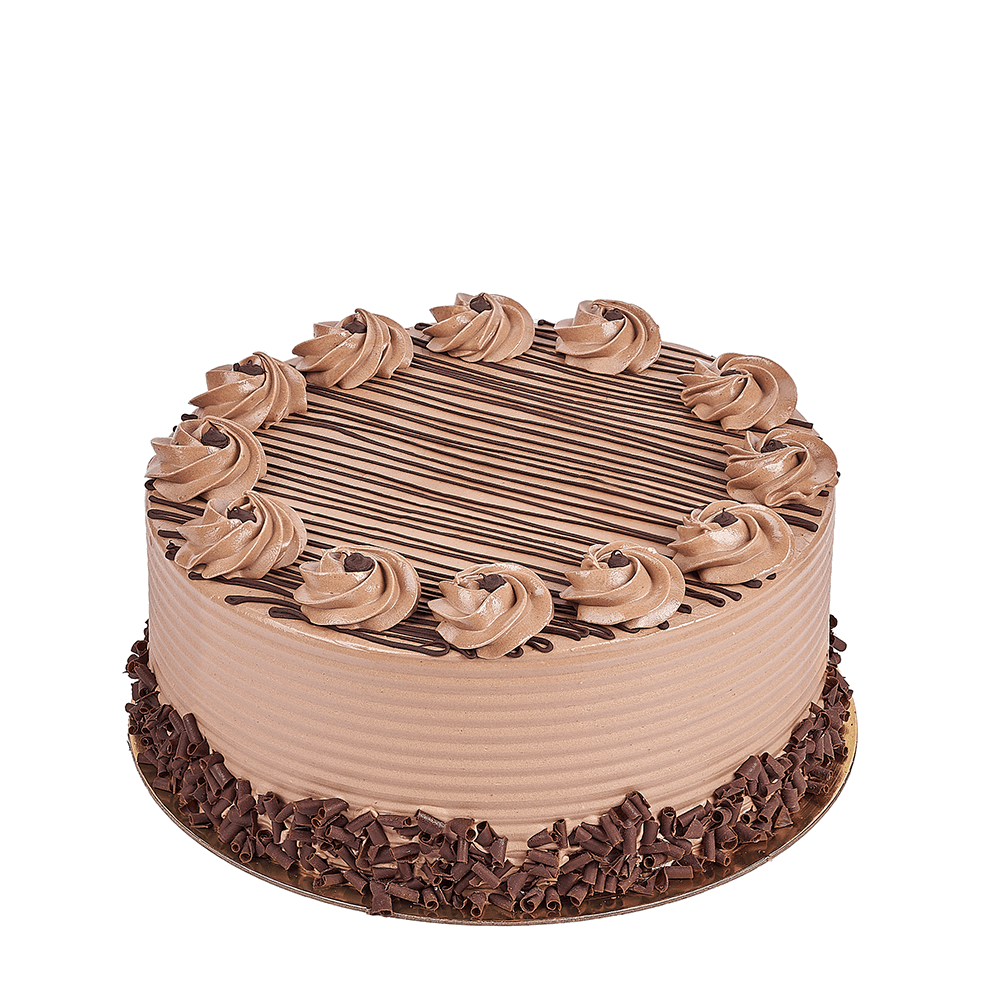 Large Hazelnut Chocolate Cake