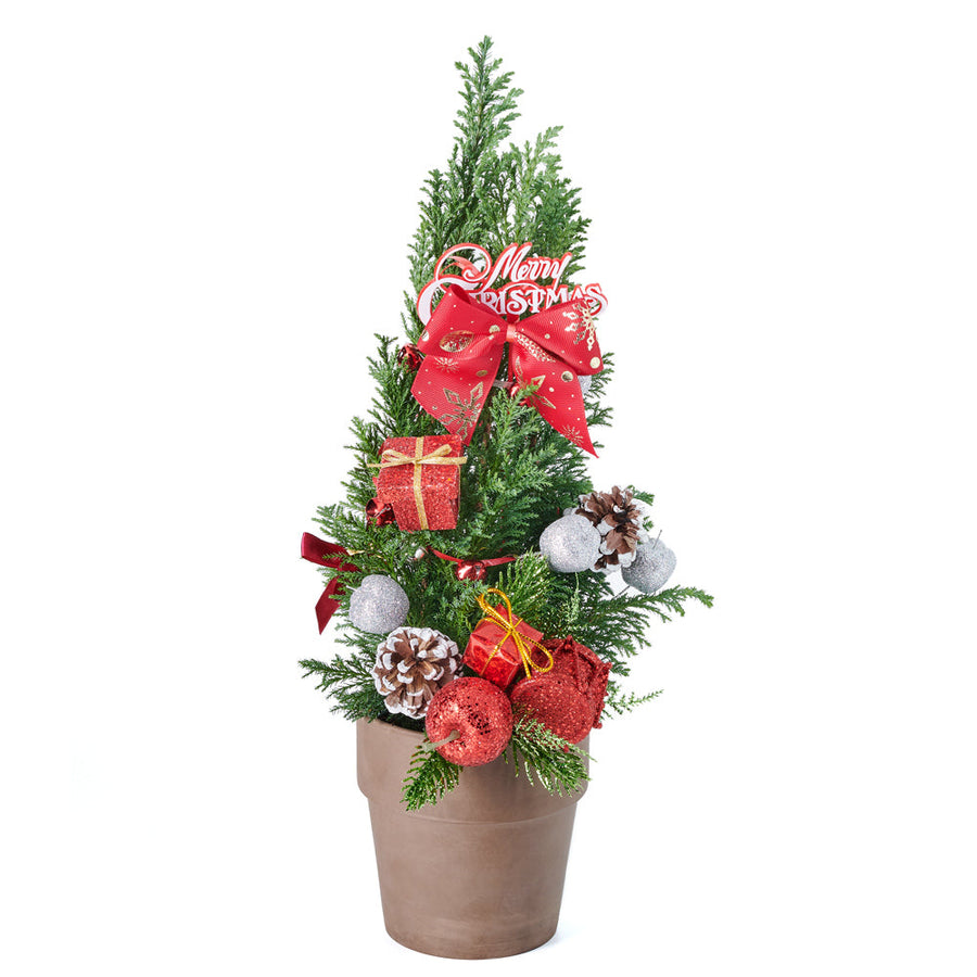 Merry Decorated Mini Christmas Tree, baby Cupressus is a perfect living Christmas tree and comes in a classic planter pot, Holiday Gifts from Blooms Canada - Same Day Canada Delivery.