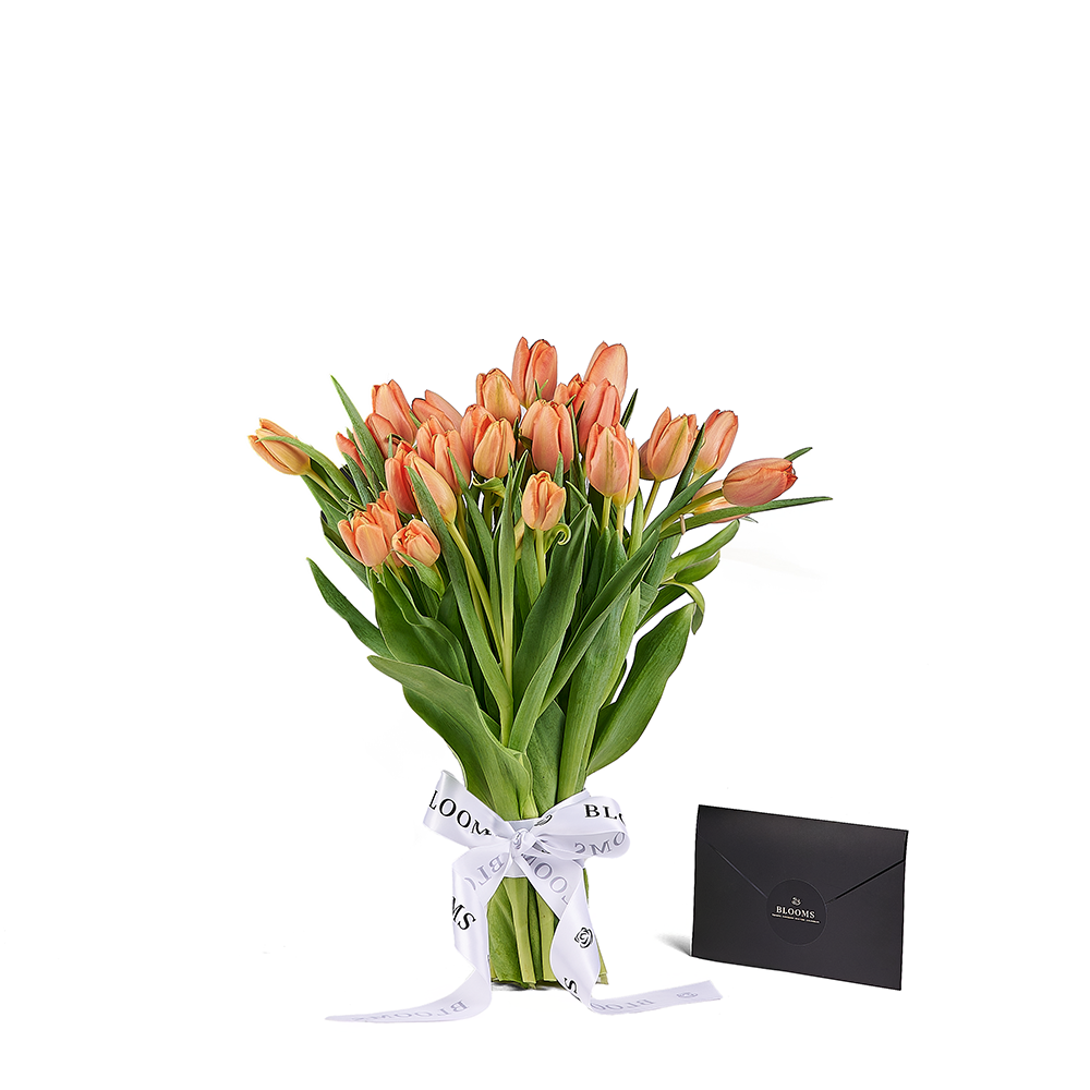 Midsummer Night Tulip Bouquet, tulip gift, tulip, flower gift, flower, seasonal flower gift, seasonal flower, – Canada Blooms - Canada Delivery