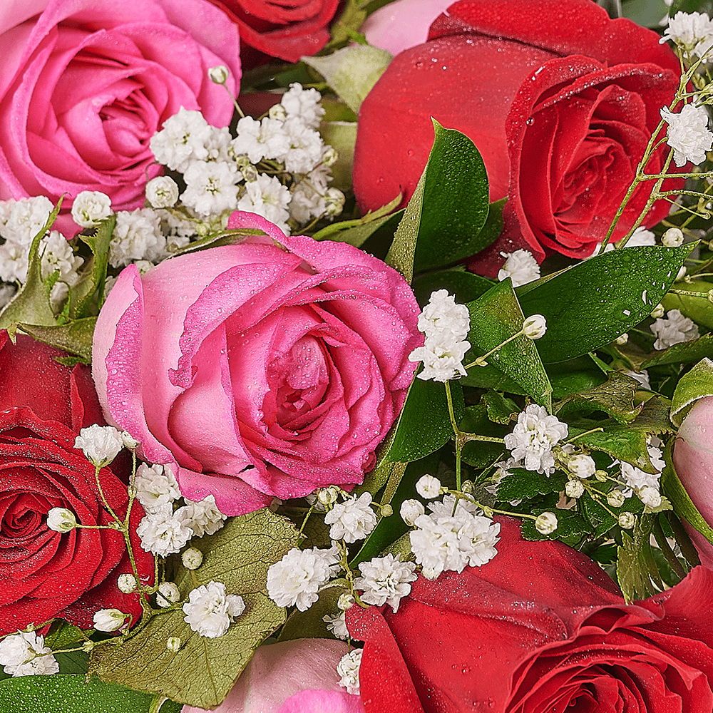 Mother’s Day 12 Stem Red & Pink Bouquet, rose gift, rose, mothers day gift, mothers day, – Canada Blooms - Canada Delivery