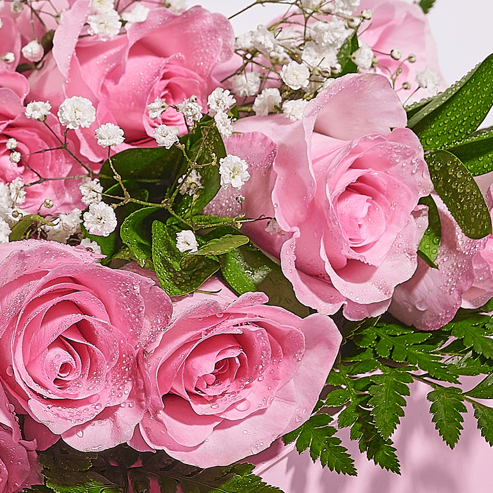 Mother’s Day Dozen Pink Rose Bouquet with Box, Champagne, & Chocolate, champagne gift, champagne, sparkling wine gift, sparkling wine, mothers day gift, mothers day, – Canada Blooms - Canada Delivery