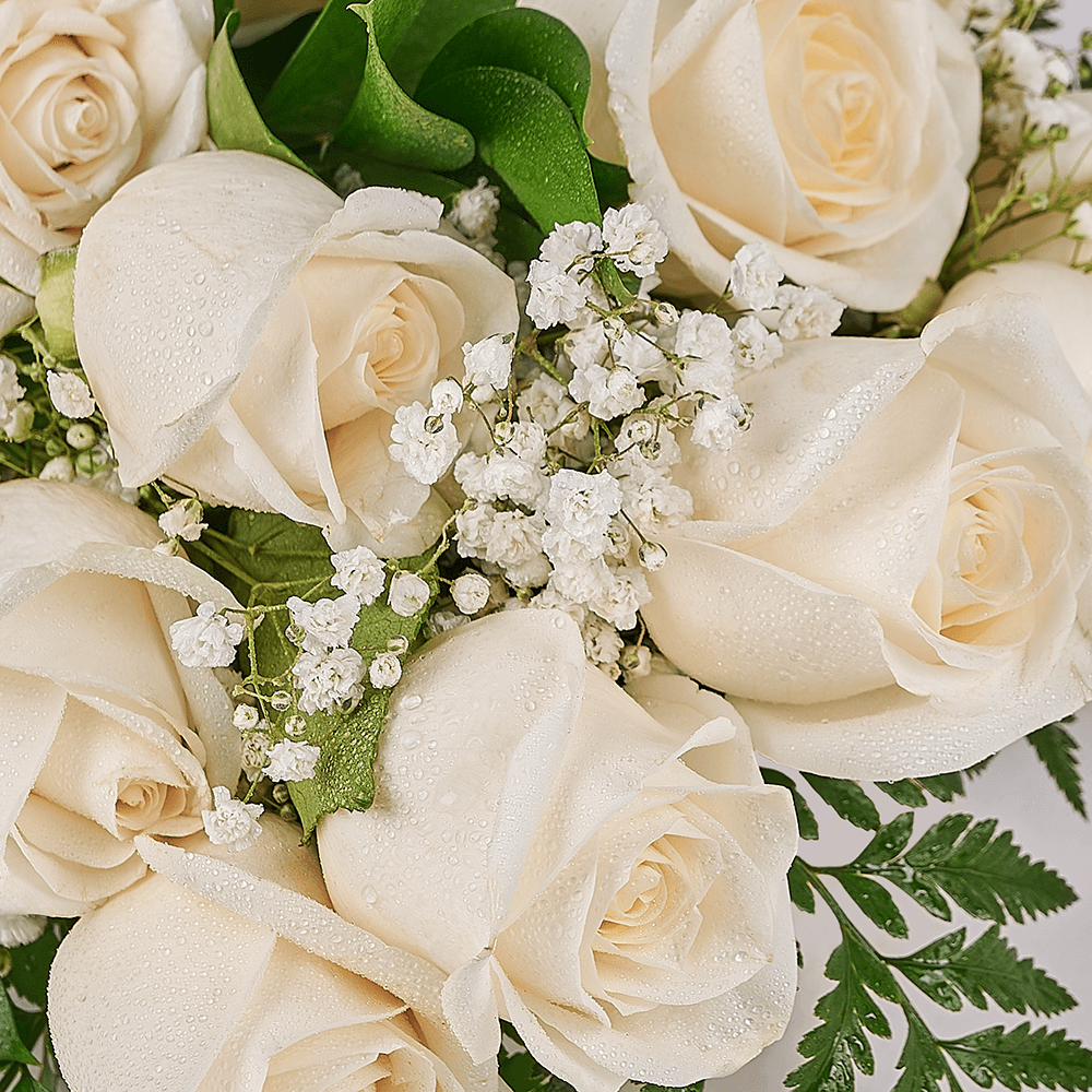 Mother’s Day Dozen White Rose Bouquet, mothers day gift, mothers day, rose gift, rose, – Canada Blooms - Canada Delivery