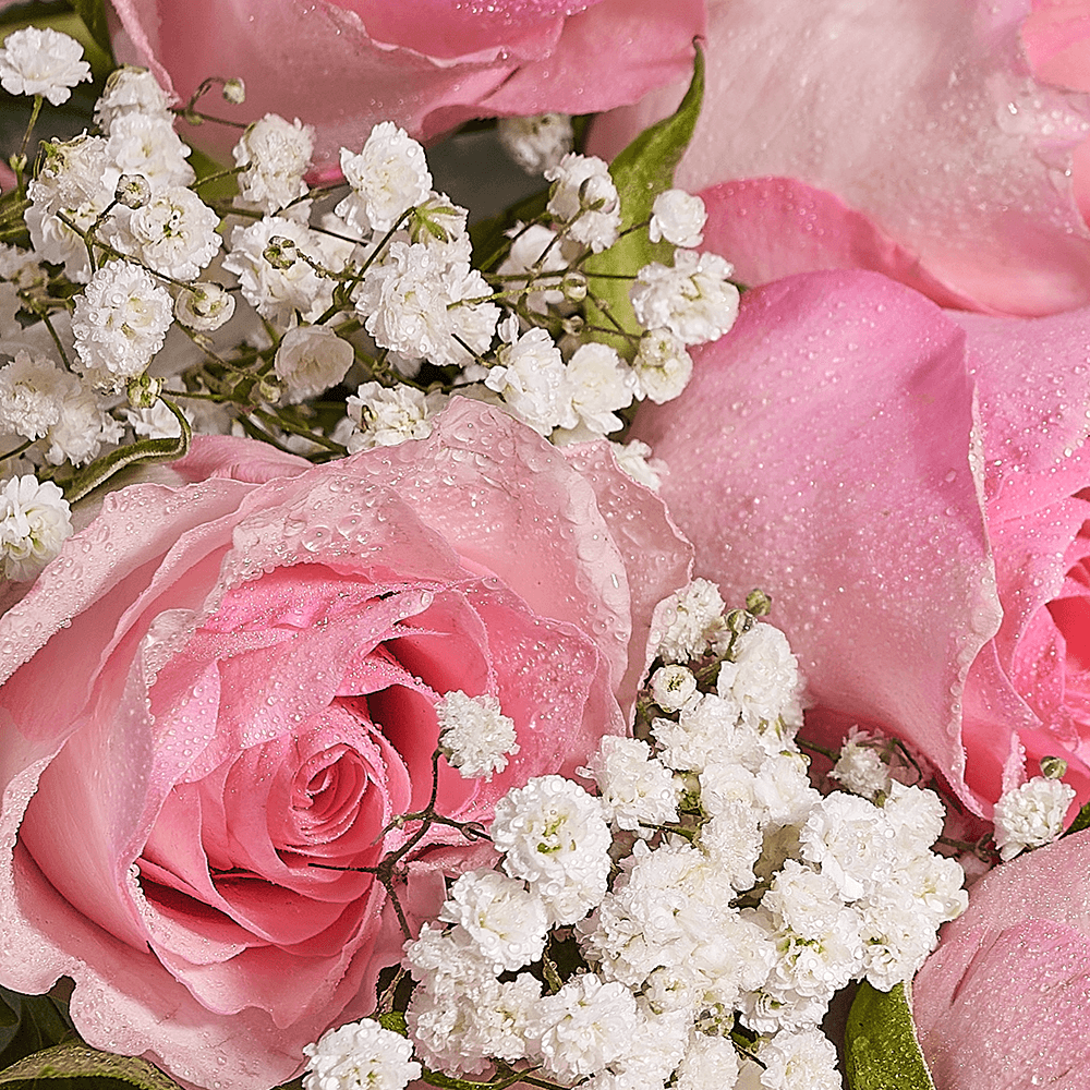 Mother’s Day Ultimate Pink Rose Gift Set – Mother’s Day Gifts – Canada Blooms - Canada Delivery