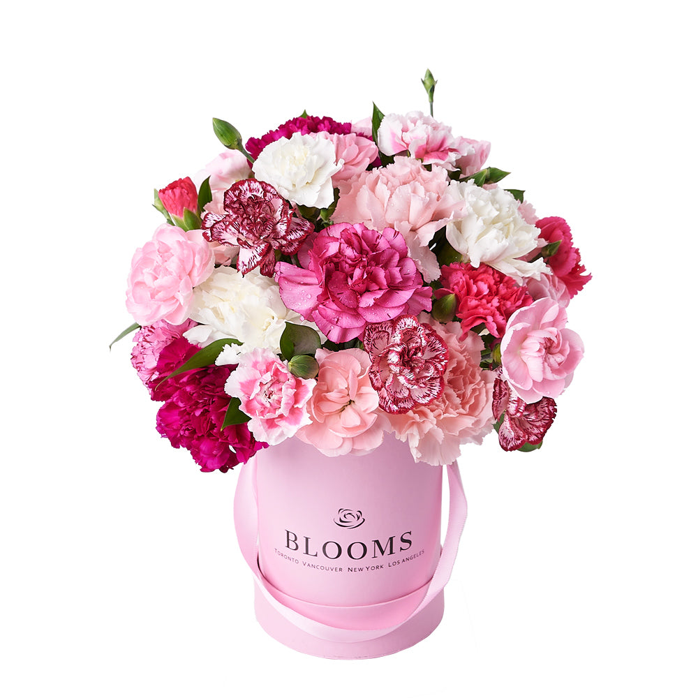 Perfectly Pink Carnation Gift Box, gift baskets, floral gifts, mother’s day gifts – Canada Blooms - Canada Delivery