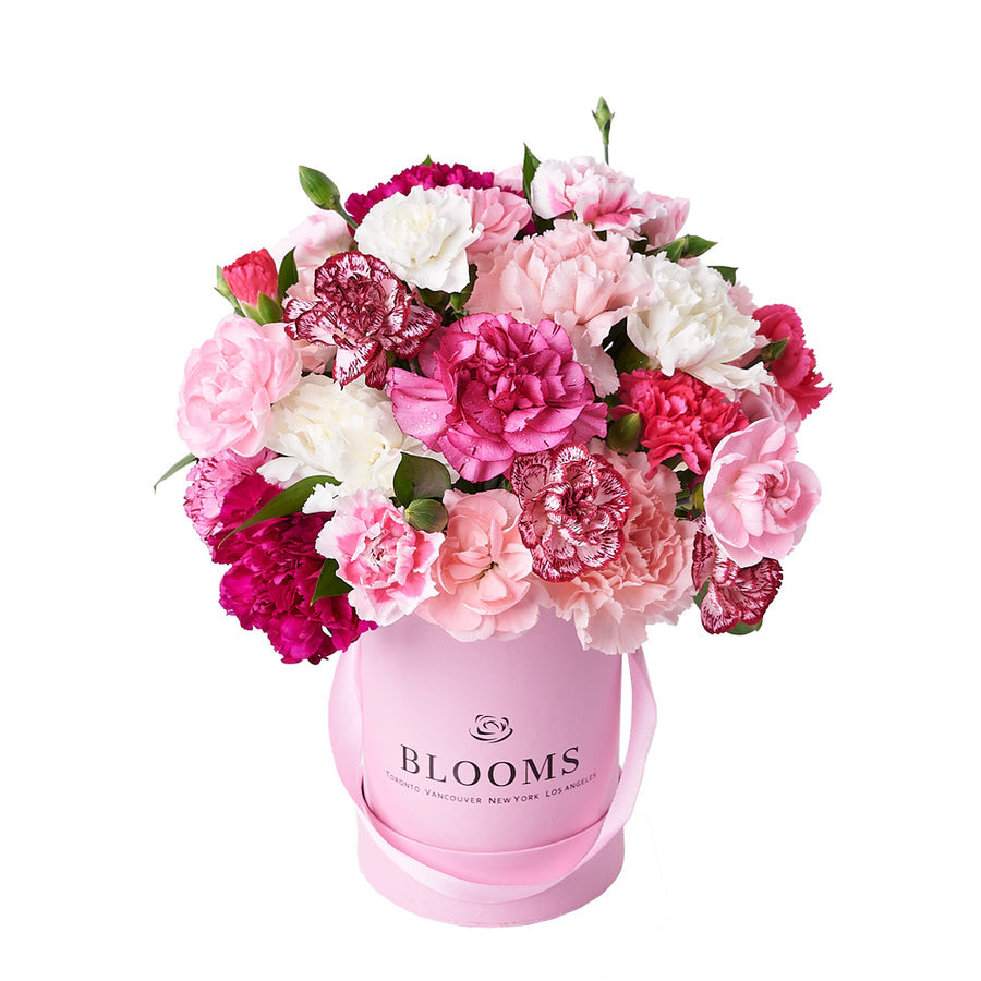 Perfectly Pink Carnation Gift Box, gift baskets, floral gifts, mother’s day gifts – Canada Blooms - Canada Delivery